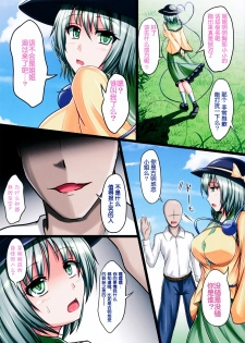 (C86) [+5 (Taka♂)] Seikan Paranoia (Touhou Project) [Chinese] [CE家族社] - page 5