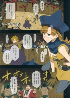 (C86) [VOLVOX (Kizaki, Chirima, O/p.com)] Narazumono no Utage - Feast of rogue (Dragon Quest) - page 3