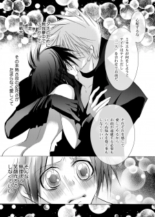 (C76) [La*Pis, Bel*Belly (Kuya Wataru, Tenkawa Sakura)] Hikatokage wa futatsu de hitotsu (07-Ghost) - page 28