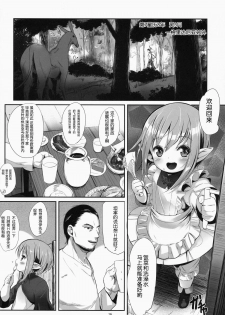 (C86) [bizen shiki roroppu (Bizen)] Hirotta Lalafell To Kurashima Senka (Final Fantasy XIV) [Chinese] [脸肿汉化组] - page 17