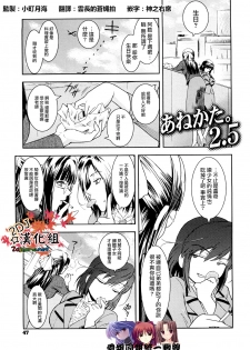 [ここのき奈绪] あねかた2.5 [2DJ汉化组] - page 1