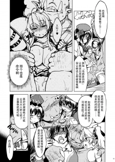 [Xration (mil)] Hime Kishi Tame Ho (Ragnarok Online) [Chinese] [超⑨汉化] [Digital] - page 9