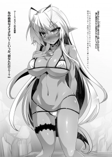 [Moon Night Kitten (Kouki Kuu)] Seikou Akki Kageaki Oasis Hen (Full Metal Daemon Muramasa) [Digital] - page 3