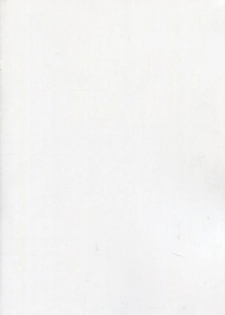 (C86) [Type-G, Studio Himawari (Himukai Kyousuke, Ishigaki Takashi)] UNISON [Lyrical ☆ Nanoha Goudoushi] (Mahou Shoujo Lyrical Nanoha) [Chinese] [无毒汉化组 ＆ 脸肿汉化组] - page 3
