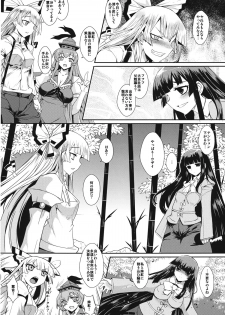 (Reitaisai 11) [YOMOTHUHIRASAKA, Heart's nest (bbsacon, hato)] Kougetsu no Duo (Touhou Project) - page 3