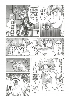 (C63) [Oretachi Misnon Ikka (Misnon the Great, Misnon Blue)] Tsuihou Kakugo Special edition Phase1 (Seikai no Senki) - page 32