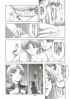 (C63) [Oretachi Misnon Ikka (Misnon the Great, Misnon Blue)] Tsuihou Kakugo Special edition Phase1 (Seikai no Senki) - page 19