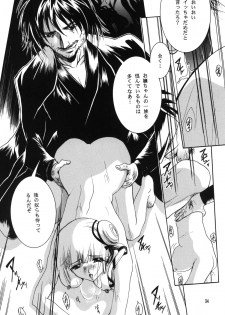(C76) [Barbaroi no Sato (Ryuuka Ryou)] Inmu - yami ni nureru yoru - (Vampire Princess Miyu) - page 34