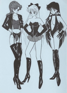[Kareruren (Shirou Ruri)] EN DOLL Junbi-gou (Bishoujo Senshi Sailor Moon) - page 18