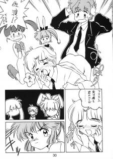 [Nawanoren] NN kakubakudan - page 29