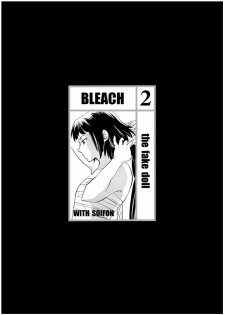 [Todd Special (Todd Oyamada)] Nekohime-sama (Bleach) [English] [SaHa] [Decensored] - page 18