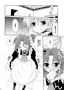 (C74) [ciaociao (Araki Kanao)] HAPPY EDEN Soushuuhen 1 (Hayate no Gotoku!) [Chinese] [CE家族社] - page 49
