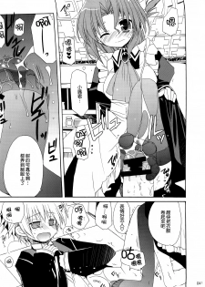 (C74) [ciaociao (Araki Kanao)] HAPPY EDEN Soushuuhen 1 (Hayate no Gotoku!) [Chinese] [CE家族社] - page 42