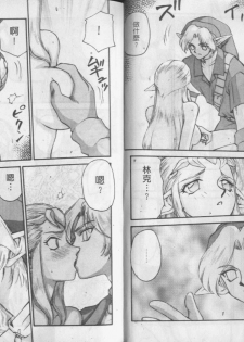 [Taira Hajime] Zeruda VS Shousaku [Chinese] - page 5