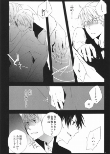 (C79) [QQaid (Kuro)] Blue Paranoia. (Durarara!!) - page 12