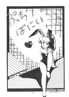 [Petit Bunny Sha (Shimazaki Lem)] PETIT BUNNY Vol. 1 (Various) - page 3