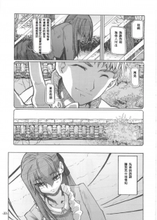 Fate/Final Fantasy (fate/stay night) (chinese)(xxx混合) - page 33