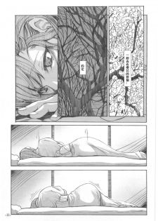 Fate/Final Fantasy (fate/stay night) (chinese)(xxx混合) - page 11