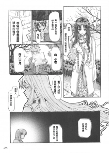 Fate/Final Fantasy (fate/stay night) (chinese)(xxx混合) - page 29