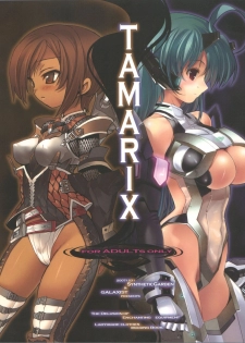 (C73) [GALAXIST×SyntheticGarden] TAMARIX (Fantasy Earth ZERO) - page 1