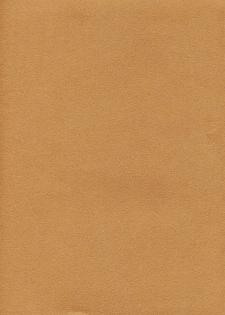 (CR33) [NOUZUI MAJUTSU, NO-NO'S (Kawara Keisuke, Kanesada Keishi)] Caffe' latte - page 2