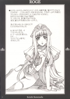 (C63) [NOUZUI MAJUTSU (Kanesada Keishi)] ROGE - page 13