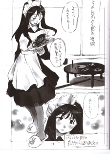 [PEACE MAKER (E=mc2)] Tekunono - Hateshinaku Aoi, Kono Sora no Shita de - page 12