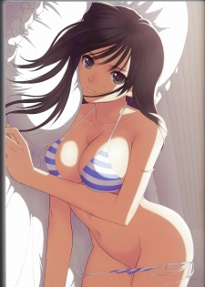 (C83) [T2 ART WORKS (Tony Taka)] Recollect [Decensored] - page 19