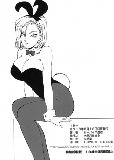 (C84) [Rippadou (Liveis Watanabe)] 18+ (Dragonball Z) - page 17