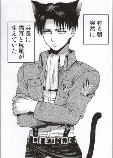 (C86) [Onjire (Tamy)] ONGRE2013 (Shingeki no Kyojin) - page 42