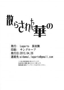 (COMIC1☆7) [Lagarto (Aida Mai)] Chirasareta Hana no (Dragon Quest V) - page 26