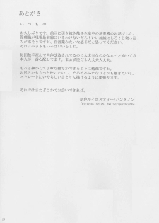 (Reitaisai 11) [Hadairo Rooibos Tea (Pandain)] Shokushu Chireiden 2 ~Satori Expansion Development~ (Touhou Project) - page 24