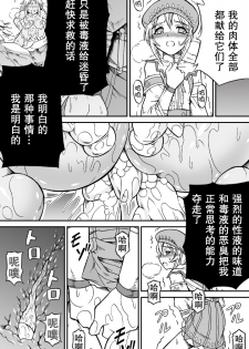 [Yokohama Junky (Makari Tohru)] Solo Hunter no Seitai 4.1 THE SIDE STORY (Monster Hunter) [Chinese] [无毒汉化组] - page 15