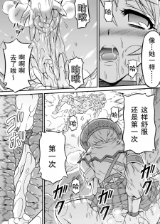 [Yokohama Junky (Makari Tohru)] Solo Hunter no Seitai 4.1 THE SIDE STORY (Monster Hunter) [Chinese] [无毒汉化组] - page 28