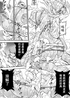 [Yokohama Junky (Makari Tohru)] Solo Hunter no Seitai 4.1 THE SIDE STORY (Monster Hunter) [Chinese] [无毒汉化组] - page 10