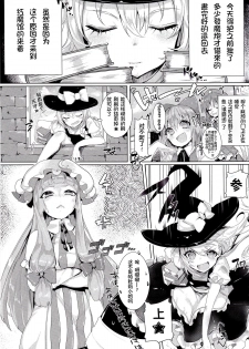 (Reitaisai 11) [Gasshuukoku Nekometaru (Nekometaru)] Soredemo Marisa ga suki (Touhou Project) [Chinese] [绅士仓库汉化] - page 5