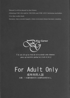 (C86) [BLUE GARNET (Serizawa Katsumi)] Kangoku Senkan (Kantai Collection -KanColle-) - page 2
