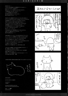 (C83) [Alemateorema (Kobayashi Youkoh)] GARIGARI49 (Touhou Project) - page 32