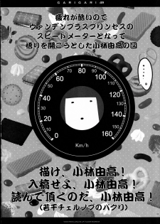 (C83) [Alemateorema (Kobayashi Youkoh)] GARIGARI49 (Touhou Project) - page 33