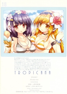 (C86) [Alice Garden (Hinata Momo)] TROPICANA ((beatmaniaIIDX) - page 17