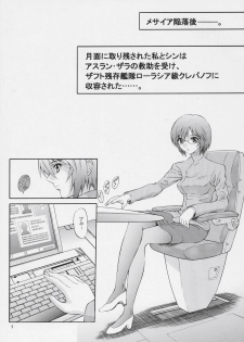 (C70) [GUST (Harukaze Soyogu)] Burning!! 03 (Gundam SEED DESTINY) - page 4