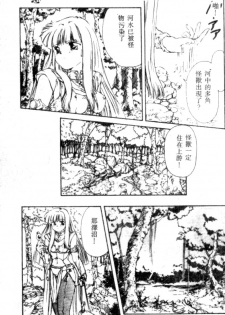 [Nishiki Yoshimune] FAIRY COUNTER (Chinese) - page 39