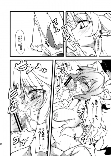 (C80) [*Cherish* (Nishimura Nike)] les miserables (Touhou Project) - page 17