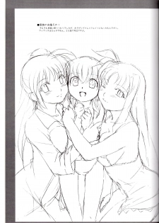 (Nanoha Festival 3) [Soreya (Nishitsuki Tsutomu)] SWORD DANCERs (Mahou Shoujo Lyrical Nanoha) - page 12