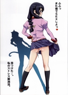 (C86) [STUDIO PAL (Nanno Koto)] Matometa Monogatari Ichi (Bakemonogatari) - page 14