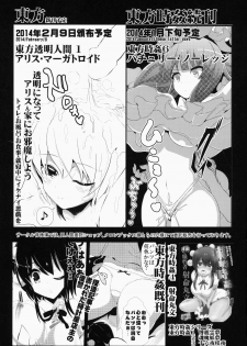 (C85) [Haitokukan (Haitokukan)] Touhou Jikan 5 Kochiya Sanae (Touhou Project) - page 24
