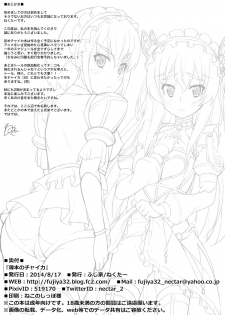 (C86) [Fujiya (Nectar)] Usui Hon no Chaika | Thin book of Chaika (Hitsugi no Chaika) [English] [TSHH] - page 18