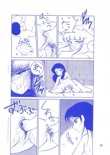 (C37) [Room No.201 (H・YOU)] BLUEBERRY JAM FINAL No.1 (Princess Sarah) - page 17