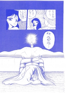 (C37) [Room No.201 (H・YOU)] BLUEBERRY JAM FINAL No.1 (Princess Sarah) - page 23