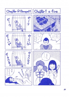 (C37) [Room No.201 (H・YOU)] BLUEBERRY JAM FINAL No.1 (Princess Sarah) - page 25